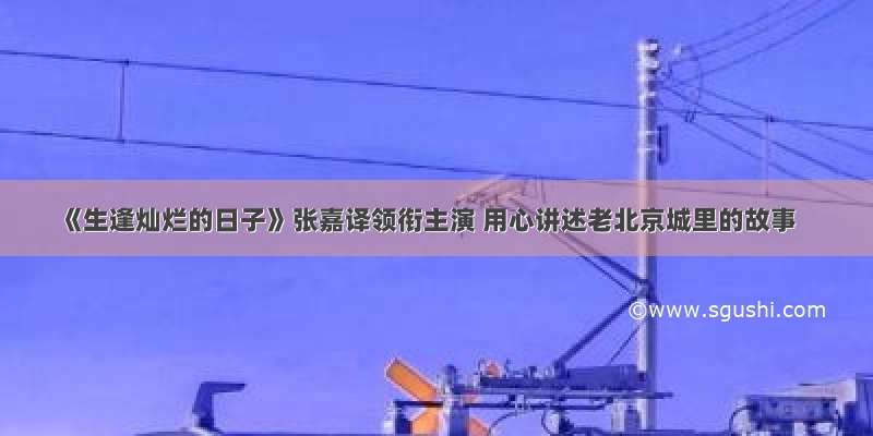 《生逢灿烂的日子》张嘉译领衔主演 用心讲述老北京城里的故事