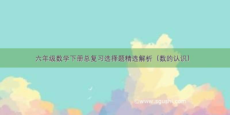 六年级数学下册总复习选择题精选解析（数的认识）