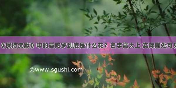 《保持沉默》中的曼陀罗到底是什么花？名字高大上 实际随处可见