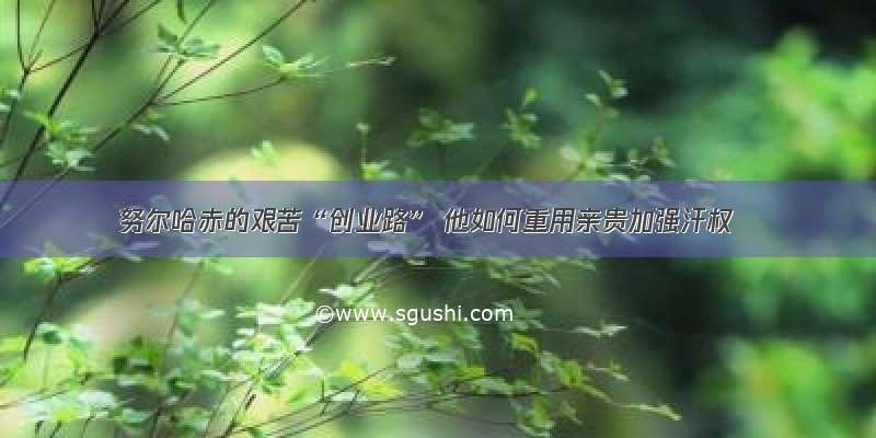 努尔哈赤的艰苦“创业路” 他如何重用亲贵加强汗权