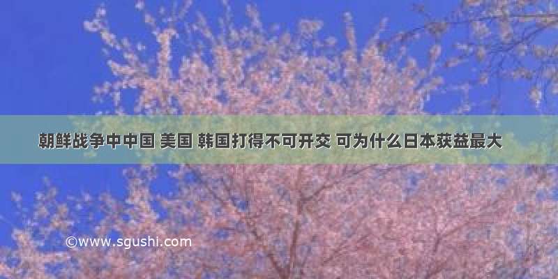 朝鲜战争中中国 美国 韩国打得不可开交 可为什么日本获益最大