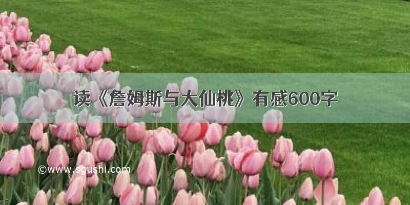 读《詹姆斯与大仙桃》有感600字