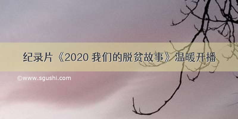 纪录片《2020 我们的脱贫故事》温暖开播