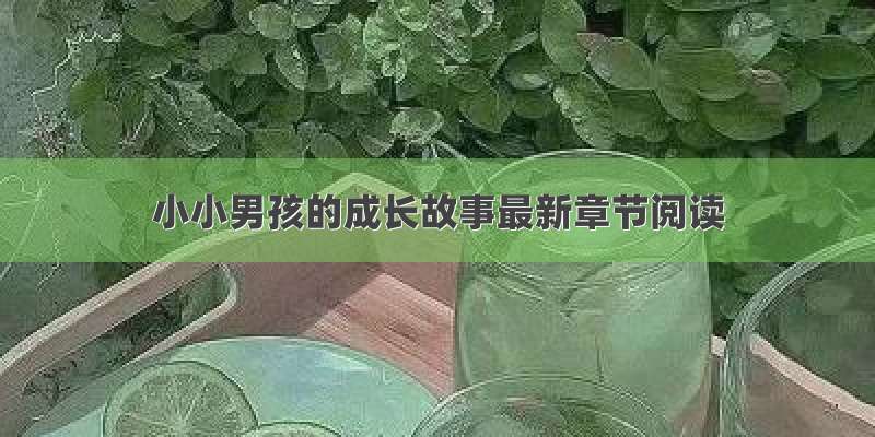 小小男孩的成长故事最新章节阅读