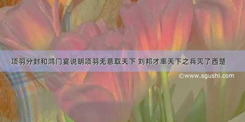 项羽分封和鸿门宴说明项羽无意取天下 刘邦才率天下之兵灭了西楚