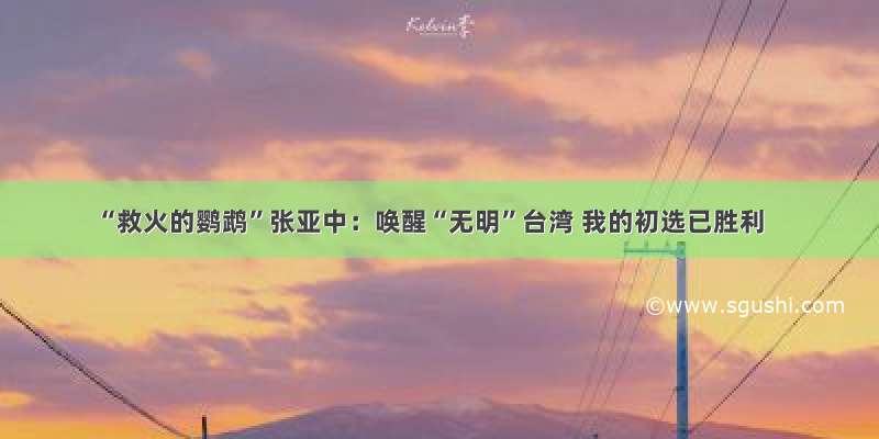 “救火的鹦鹉”张亚中：唤醒“无明”台湾 我的初选已胜利