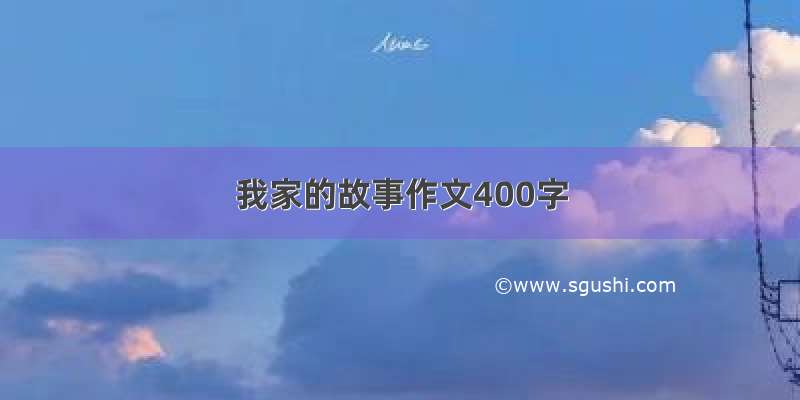 我家的故事作文400字