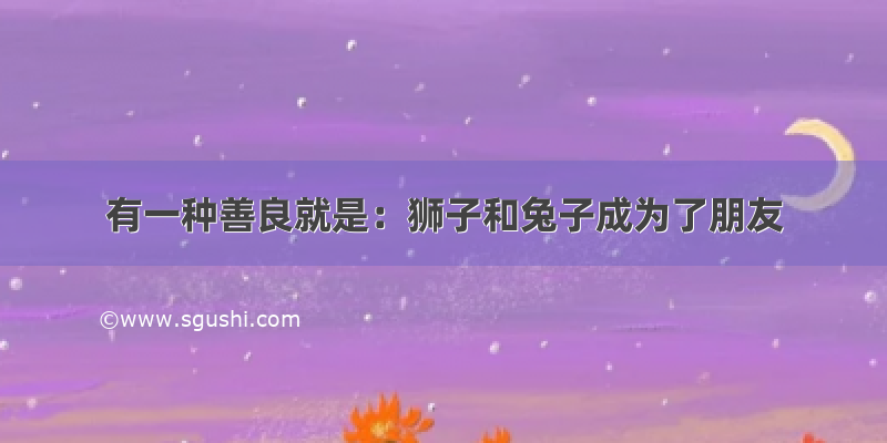 有一种善良就是：狮子和兔子成为了朋友