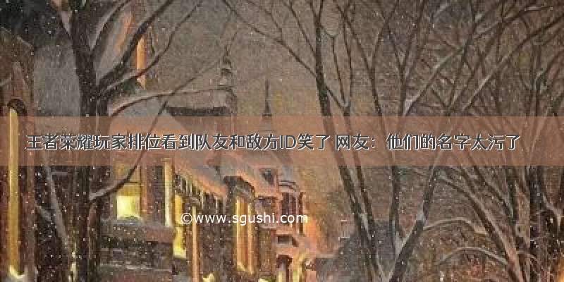 王者荣耀玩家排位看到队友和敌方ID笑了 网友：他们的名字太污了