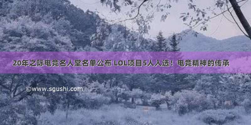 20年之际电竞名人堂名单公布 LOL项目5人入选！电竞精神的传承