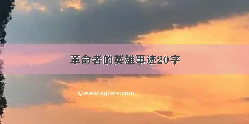 革命者的英雄事迹20字