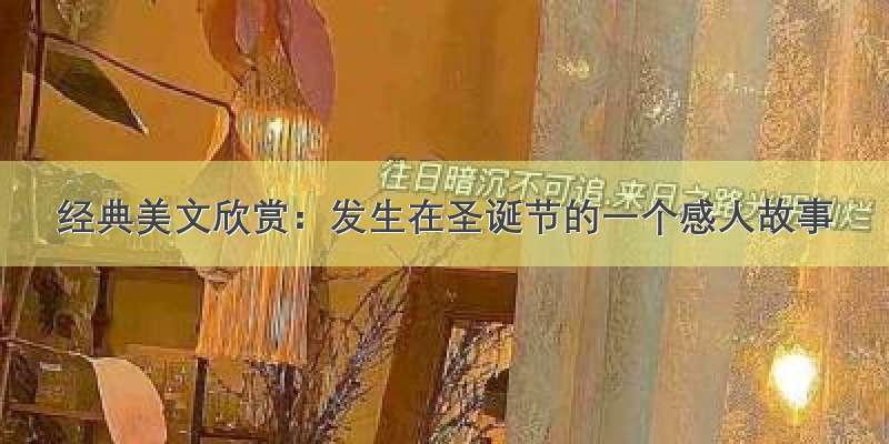 经典美文欣赏：发生在圣诞节的一个感人故事