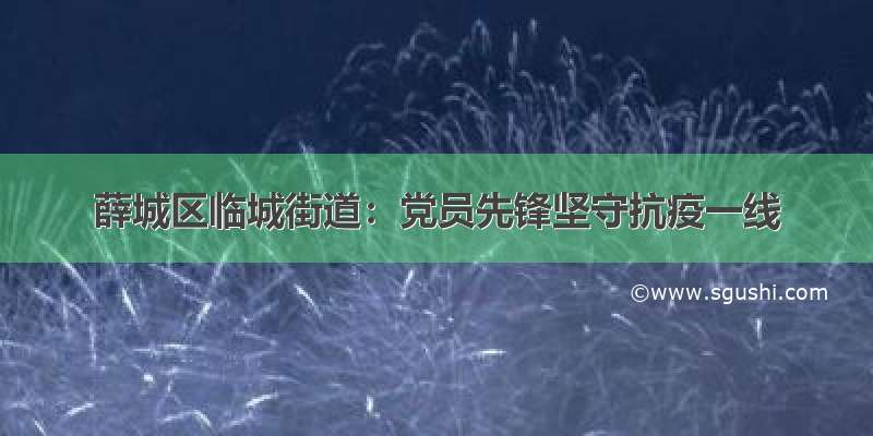 薛城区临城街道：党员先锋坚守抗疫一线