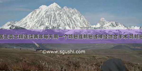 神经外科医生袁士翔连续两年每天用一个鸡翅或鸭翅练神经吻合手术 鸡鸭翅上手术台