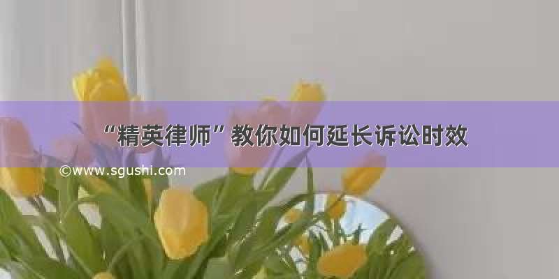 “精英律师”教你如何延长诉讼时效