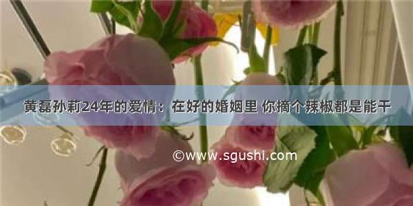 黄磊孙莉24年的爱情：在好的婚姻里 你摘个辣椒都是能干