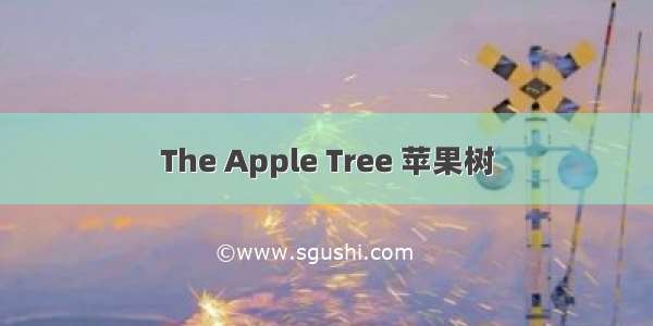The Apple Tree 苹果树