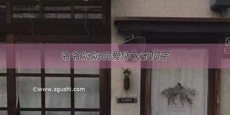 爷爷奶奶的爱作文500字