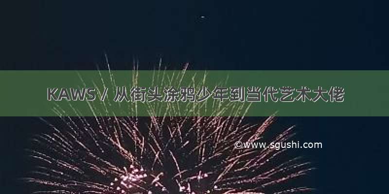 KAWS / 从街头涂鸦少年到当代艺术大佬
