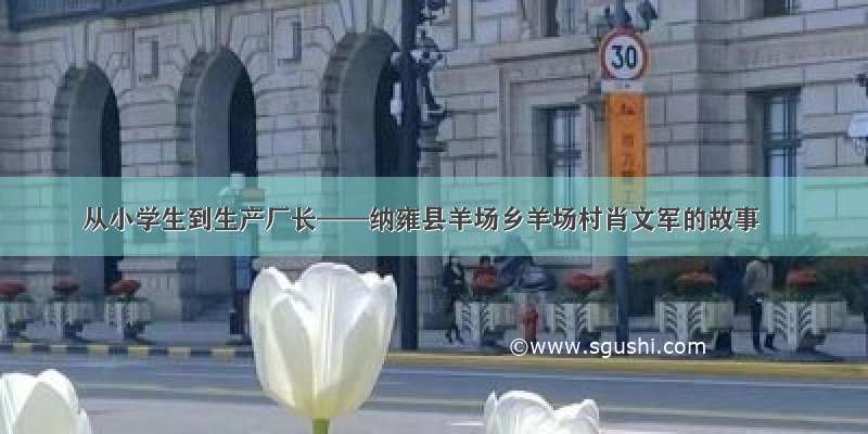 从小学生到生产厂长——纳雍县羊场乡羊场村肖文军的故事