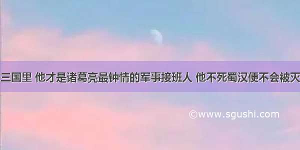 三国里 他才是诸葛亮最钟情的军事接班人 他不死蜀汉便不会被灭