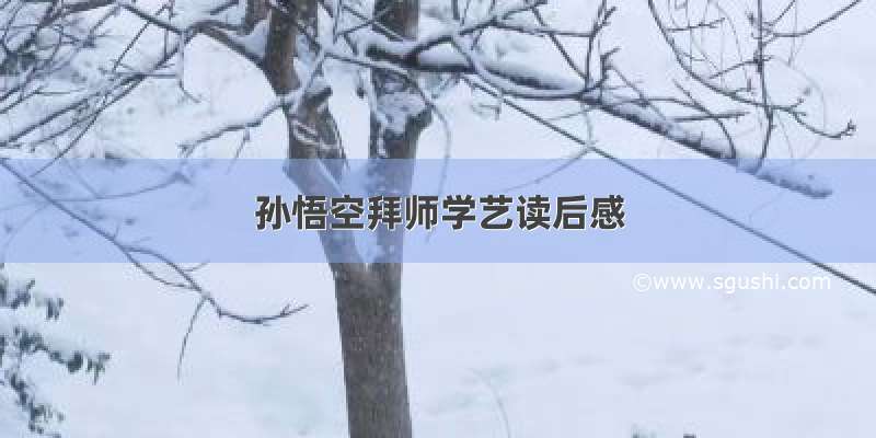 孙悟空拜师学艺读后感