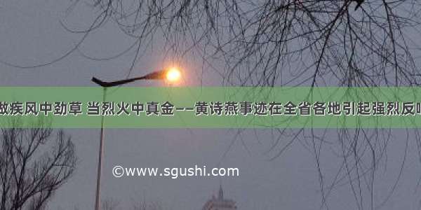 做疾风中劲草 当烈火中真金——黄诗燕事迹在全省各地引起强烈反响