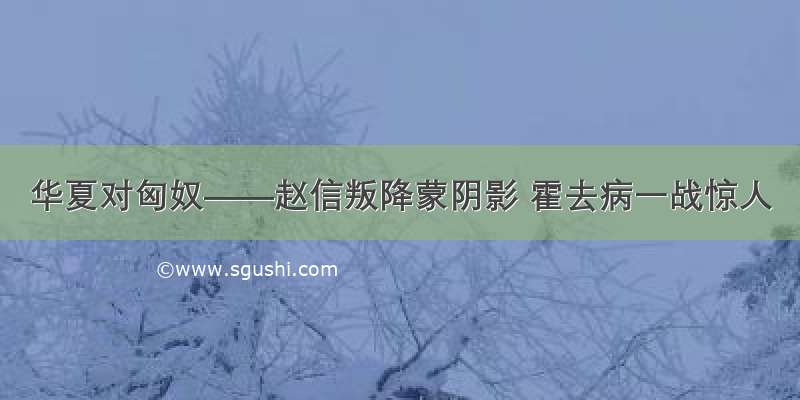 华夏对匈奴——赵信叛降蒙阴影 霍去病一战惊人