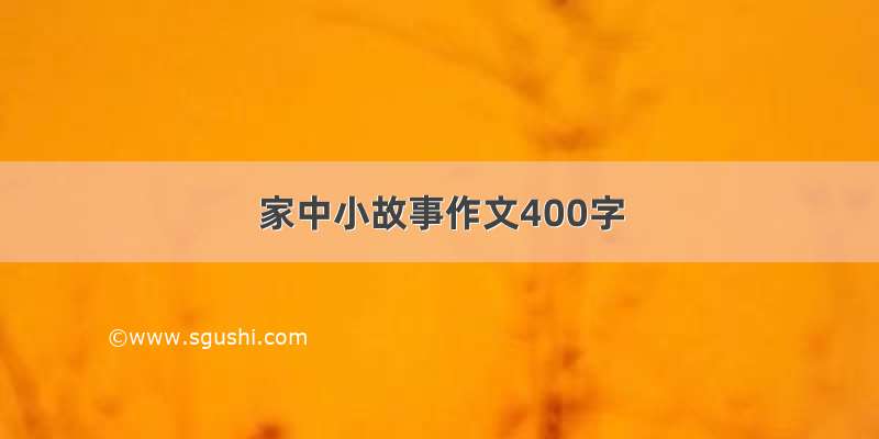 家中小故事作文400字