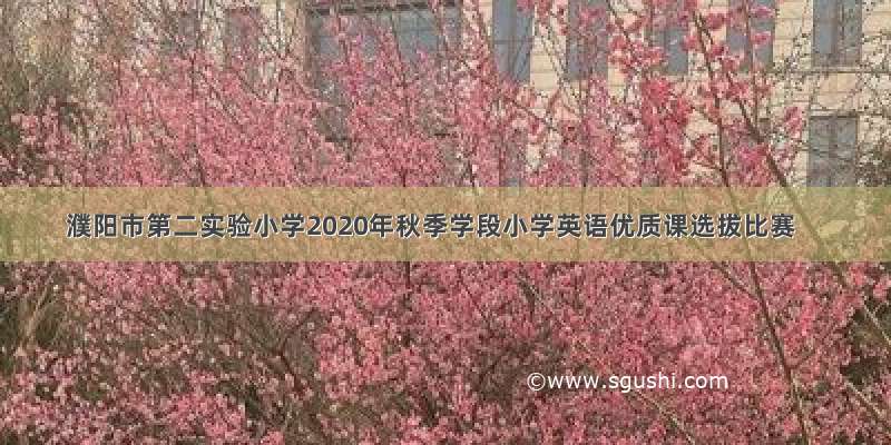 濮阳市第二实验小学2020年秋季学段小学英语优质课选拔比赛