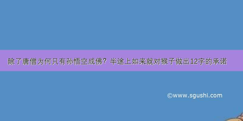 除了唐僧为何只有孙悟空成佛？半途上如来就对猴子做出12字的承诺