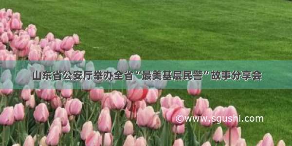 山东省公安厅举办全省“最美基层民警”故事分享会