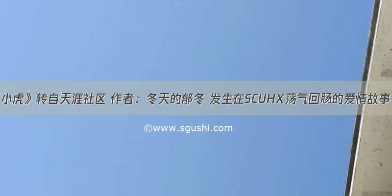 《小虎》转自天涯社区 作者：冬天的郁冬 发生在SCUHX荡气回肠的爱情故事