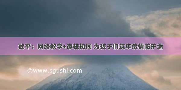 武平：网络教学+家校协同 为孩子们筑牢疫情防护墙