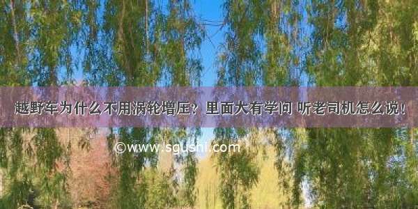 越野车为什么不用涡轮增压？里面大有学问 听老司机怎么说！