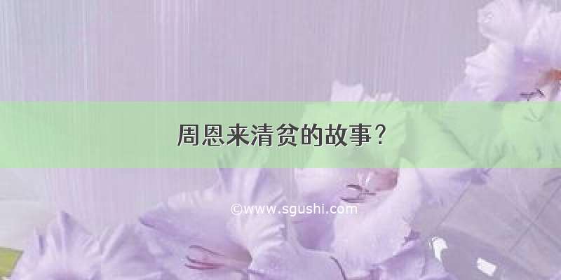 周恩来清贫的故事？