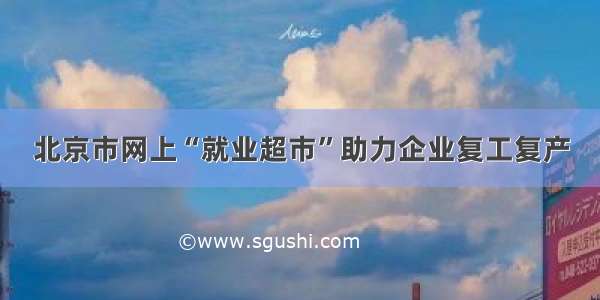 北京市网上“就业超市”助力企业复工复产