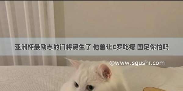 亚洲杯最励志的门将诞生了 他曾让C罗吃瘪 国足你怕吗