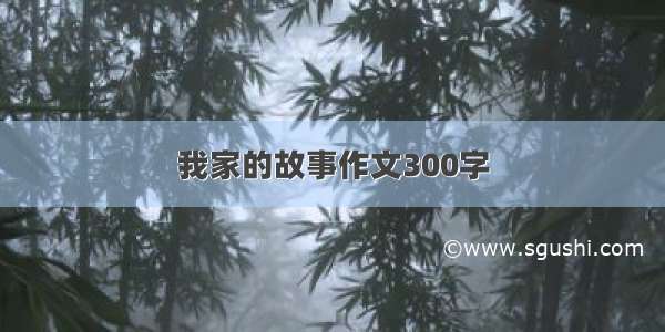 我家的故事作文300字