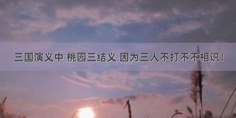 三国演义中 桃园三结义 因为三人不打不不相识！