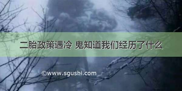 二胎政策遇冷 鬼知道我们经历了什么