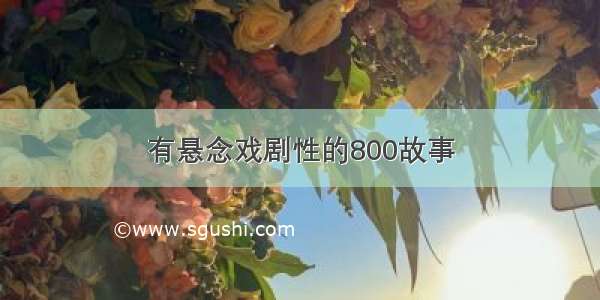 有悬念戏剧性的800故事