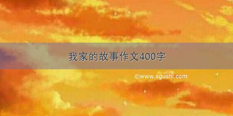 我家的故事作文400字