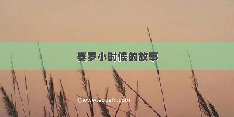 赛罗小时候的故事