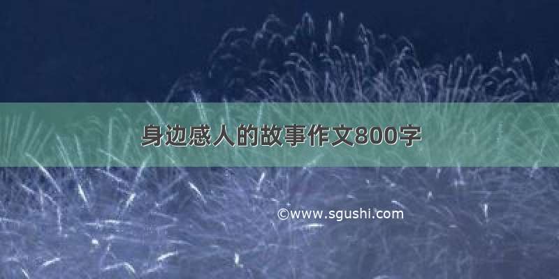 身边感人的故事作文800字