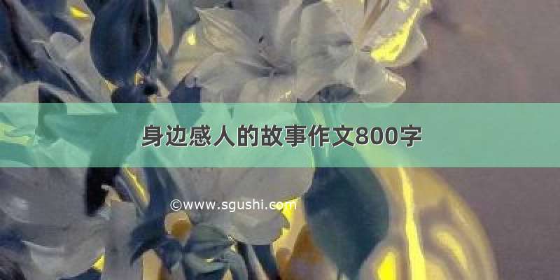 身边感人的故事作文800字