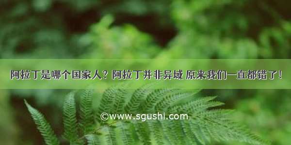 阿拉丁是哪个国家人？阿拉丁并非异域 原来我们一直都错了！