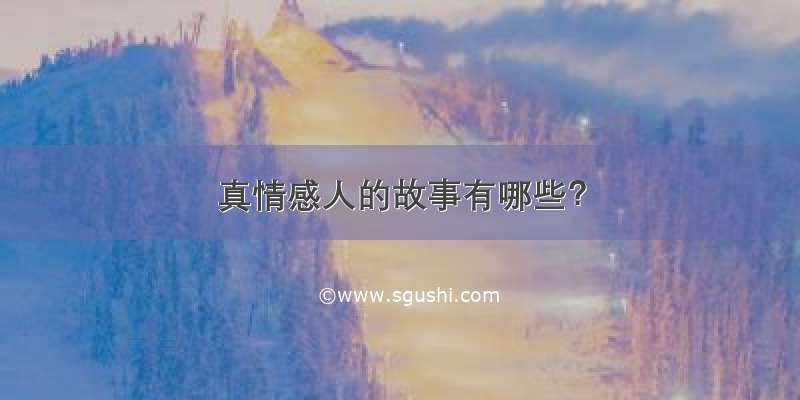 真情感人的故事有哪些？