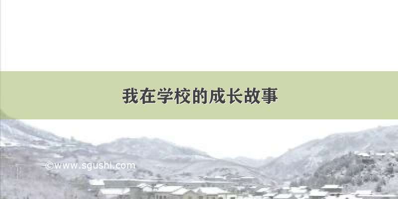 我在学校的成长故事