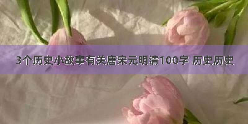 3个历史小故事有关唐宋元明清100字 历史历史